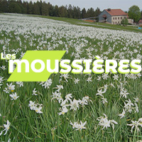 (c) Lesmoussieres.fr
