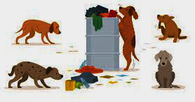 Arrété divagation des chiens 